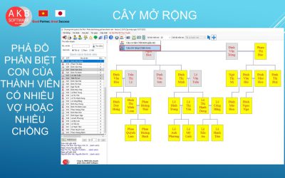 CÂY PHẢ ĐỒ PHÂN BIỆT ĐƯỢC CON CỦA THÀNH VIÊN