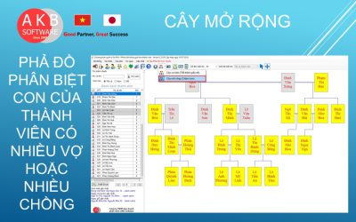 CÂY PHẢ ĐỒ PHÂN BIỆT ĐƯỢC CON CỦA THÀNH VIÊN